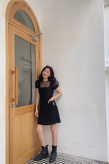 Organza Puff Sleeve Dress